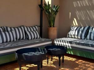 - un salon avec deux canapés et une plante en pot dans l'établissement Riad Yakimour, à Marrakech