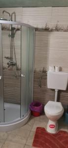 a bathroom with a toilet and a glass shower at Cabana Silvia in Gheorgheni +31 photos