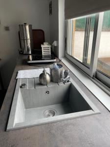a stainless steel sink in a kitchen with a window at Dépendance de Maison in Saint-Genis-Laval