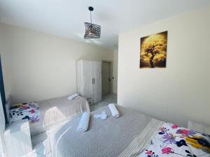 Φωτογραφία από το άλμπουμ του Black Pearl In Ureki σε Ureki +12 φωτογραφίες