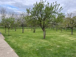 a field of green grass with trees in it at Chambres d'Hôtes Lambert Rouen in Saint-Jean-du-Cardonnay