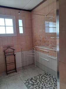 a bathroom with a shower and a sink at Au Coeur du Bocage Vendéen in Chantonnay