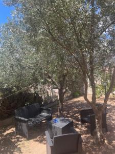 a group of chairs and tables under a tree at Blue Apartment in La Maddalena