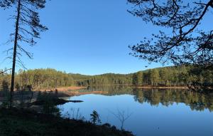 a view of a lake with trees in the background at Holmsjøhytta in Sjørbotn