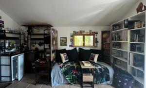 a room with a bed and a desk and shelves at Le Cabanon entouré de Pins in Lacanau