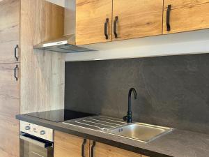 a kitchen with a sink and wooden cabinets at L'Horizon Bleu - Appartement 4 chambres avec cour au centre Bourbourg in Bourbourg