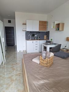 un salon avec une table et une cuisine dans l'établissement Apartman Jedro Golubac, à Golubac