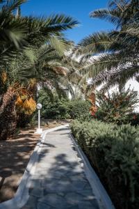 Gallery image of Avra Beach in Ferma