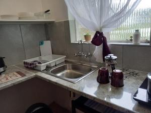 a kitchen counter with a sink and a window at 1-On-Scott Garden Suites in Somerset East +24 photos