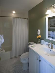 een badkamer met een toilet, een wastafel en een douche bij The Villages at Ocean Edge Resort & Golf Club in Brewster