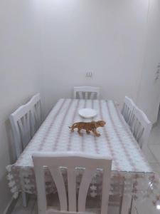 Postel nebo postele na pokoji v ubytování دار الضيافة مرحبا