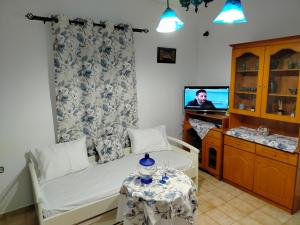 a living room with a couch and a tv at Αστερόεσσα in Katapola
