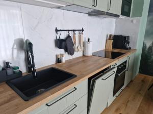 Η κουζίνα ή μικρή κουζίνα στο Zielony apartament w Wileńska Park i prywatne miejsce w garażu podziemnym
