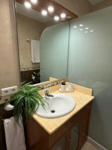 a bathroom with a sink and a large mirror at Apartament Rural ca la Roser in Espluga de Francolí