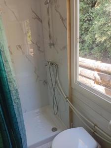 a bathroom with a shower with a toilet and a window at Roulotte Lialou in Saint-Péray