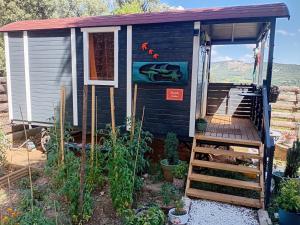 a blue tiny house with a ramp leading to the door at Roulotte Lialou in Saint-Péray