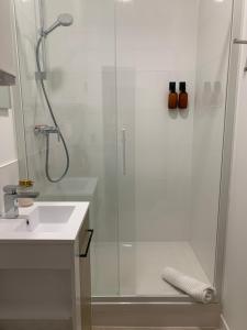 a shower with a glass door next to a sink at Le BARNAVE in Grenoble