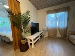a living room with a tv and a potted plant at Lakeside hotelli ravintola in Rantasalmi