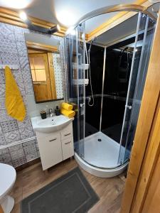 a bathroom with a shower and a sink at Święty spokój in Nowe Motule