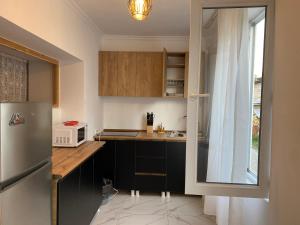 メスティアにあるAPARTMENT in MESTIAの冷蔵庫と電子レンジを備えた小さなキッチン