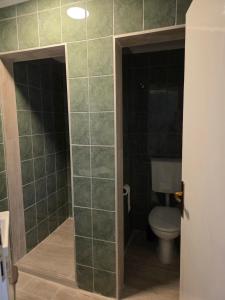 a bathroom with a toilet and green tiled walls at Apartman SAN, Svetosavska 15 Ljubinje in Ljubinje