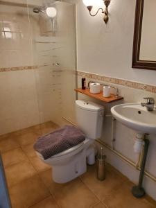 ein Badezimmer mit Toilette und Waschbecken in der Unterkunft La Maison de la Grange in Moutiers-sur-le-Lay + 11 Fotos