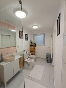 un baño con inodoro y lavabo en Maison Rosmina, en Brasov