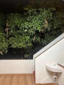 Κήπος έξω από το Compacto Men's Dormitory