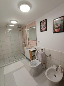 Un baño con inodoro, ducha y lavabo. en Maison Rosmina, en Brasov 12 fotos más