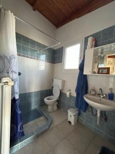 a bathroom with a toilet and a sink at Ziras Traditional Villa in Áno Váthia +19 photos