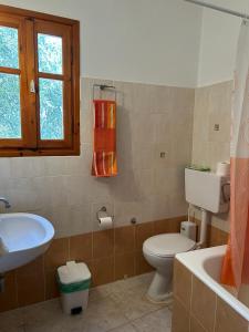 a bathroom with a white toilet and a sink at Ziras Traditional Villa in Áno Váthia