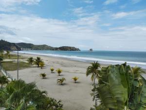 une plage avec des palmiers et l'océan dans l'établissement Departamento para 6 personas Atacames, à Atacames