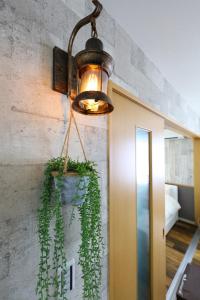 a light hanging from a wall with a potted plant at Prosper 6th bldg in Nagoya +35 photos