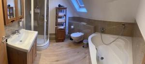 a bathroom with a sink and a shower and a toilet at Herzstück Simonskall in Hürtgenwald