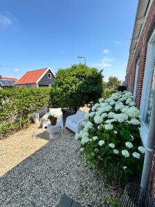 a garden with white flowers and a bench and a building at Maison Blakenburg in Wissenkerke