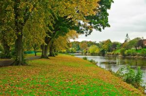 a path next to a river with trees and leaves at Modern 2-Bedroom Flat Near Park & River in Dumfries