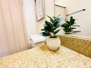 Fotografie z fotogalerie ubytování Villa 7 v destinaci Hammond