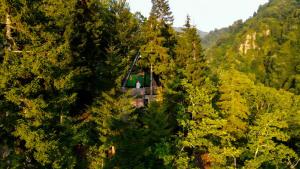Gallery image of JIJI VILL Merisi 2 in Inasharidzeebi