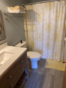 a bathroom with a toilet and a shower curtain at Oceanside, Single Family, Private Yard, Wifi, Washer Dryer, Ocean Side Home In Beach Haven 60092, in North Beach Haven