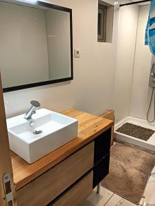a bathroom with a white sink and a mirror at Petite maison dans centre ville in Saumur