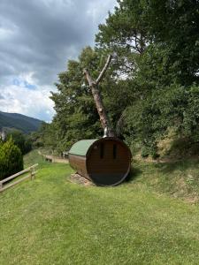 a wooden boat sitting on the grass in a field at Casanova de Baix in Ripoll +30 photos