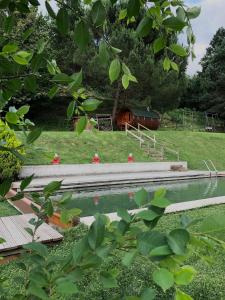 a model of a pond with a barn in the background at Casanova de Baix in Ripoll
