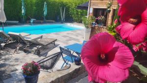 Πισίνα στο ή κοντά στο Le Mas ROLLAND -SPA sauna & jacuzzi - Label Qualité Tourisme Occitanie - Millau - Gorges du Tarn