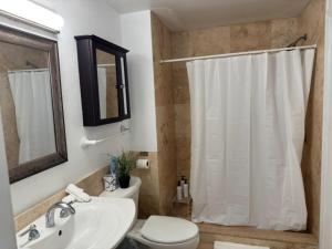 マイアミにあるAmazing apartment in the Heart of Brickellの洗面台、トイレ、シャワー付きのバスルーム