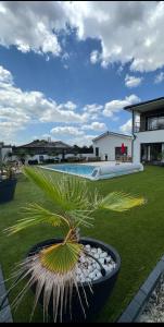 eine Palme in einem Topf neben einem Pool in der Unterkunft Villa in Sainte-Eulalie + 24 Fotos
