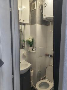 a small bathroom with a toilet and a sink at Home MARIA in Orşova
