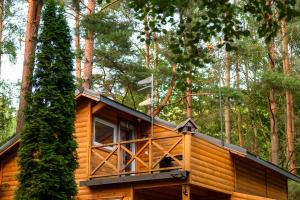 a cabin in the woods with a balcony at Domek Wśród Wód in Płęsno