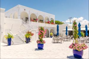a courtyard with potted plants in front of a building at Naples Dream at WTC with Heated Pool SPA Sauna 7 bicycles and 3 mls to beach in Naples