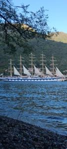 a large ship with white sails on the water at Perfect place 4 Djenovici in Đenovići