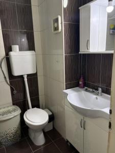 a bathroom with a toilet and a sink at Micho Apartment in Ohrid